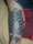 Sandy P tattoo
