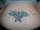 CaptainMT tattoo