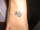 george tattoo