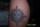 RebelRose tattoo