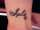 dbnova tattoo