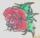 rdh1079 tattoo