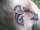 stacy tattoo
