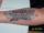 Lotte tattoo