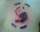 Chasingthemoon tattoo