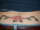 Tim tattoo