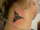 Andrea tattoo