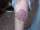 TATTOO TIM tattoo