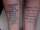 Shelby tattoo