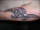 robort K tattoo