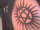 Eliza18 tattoo