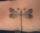 Summer tattoo