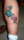 inkpassion tattoo