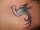 dbnova tattoo