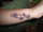 emily tattoo