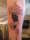 TMOSES tattoo