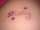 rahni tattoo