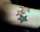TATTOO TIM tattoo