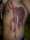 adstays tattoo