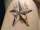 Jess tattoo