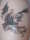 sharon tattoo