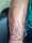 brenton tattoo