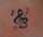 becki tattoo