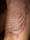 Jason tattoo