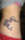 steph tattoo