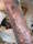 Kitty tattoo