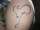 divzz tattoo