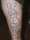 Gaz Lee Crofts (Skin n Ink) tattoo
