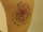 stephanie tattoo
