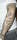 Wayneh tattoo
