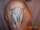 Keith Smith tattoo
