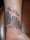 tracy tattoo