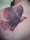 inksling tattoo