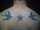 alexander tattoo