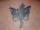 american_phreakazoid tattoo