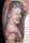 Dean tattoo