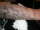 JOEHARLEY tattoo