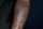 shawn tattoo