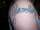 ToMmYbOy tattoo