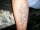 davesgirl tattoo