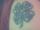 Megs tattoo