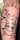 GreatRedneckHope tattoo