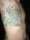 Viking445 tattoo