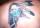JACKIE tattoo