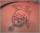 sausage mahoney tattoo