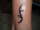 droney tattoo